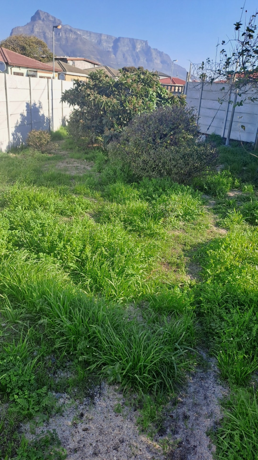 1 Bedroom Property for Sale in Brooklyn Western Cape